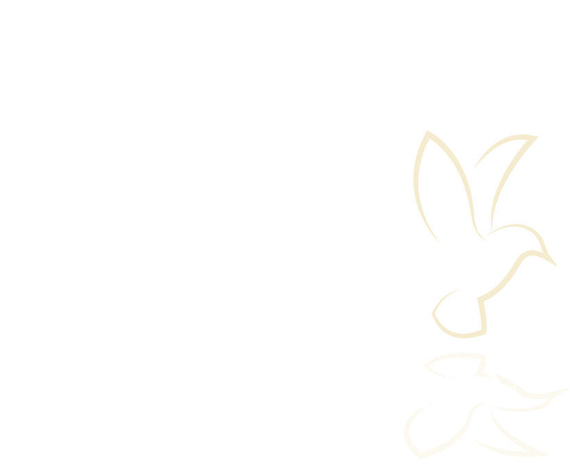 Austin Larson Tax Resolution