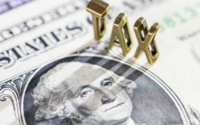 How Can You Minimize Your Self-Employment Taxes?