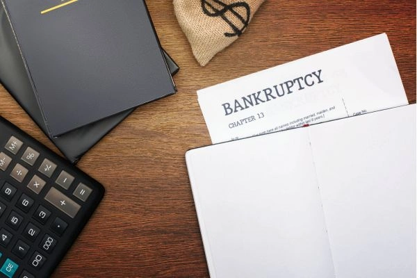 Petition for bankruptcy in the IRS